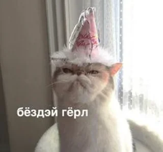 🥳 emoji китики Telegram sticker 8 of 88