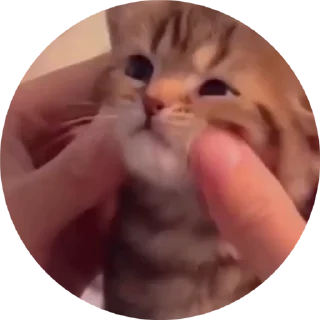 🤗 emoji Kultkota Telegram sticker 16 of 52