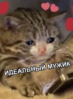 🥹 emoji китики Telegram sticker 15 of 88