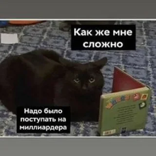 🤯 emoji китики Telegram sticker 10 of 88