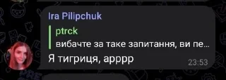 🐯 emoji Цитати Іри Telegram sticker 2 of 9