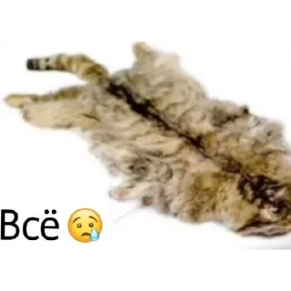 😄 emoji Я их сделал 3 Telegram sticker 21 of 60