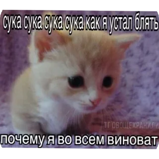 😔 emoji Больше стикеров 👉🏻 @stickertg4 Telegram sticker 1 of 35