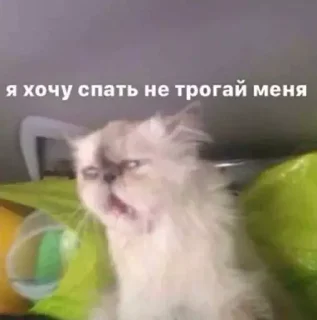 😩 emoji для важных переговоров Telegram sticker 24 of 96