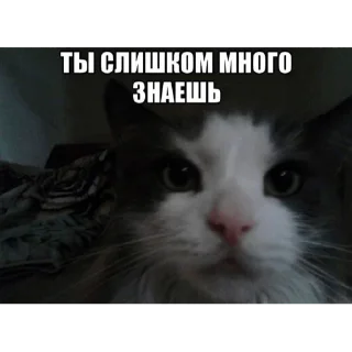 👻 emoji курилка Telegram sticker 21 of 29