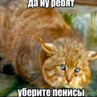 😒 emoji ненене братанчик, ненене Telegram sticker 16 of 120