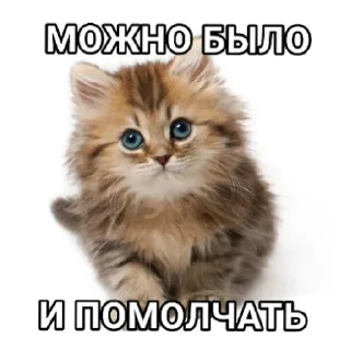 Sticker from резня изнасилование похороны