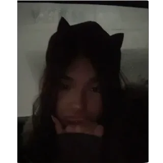 🐈‍⬛ emoji Стики Шаки Telegram sticker 17 of 52