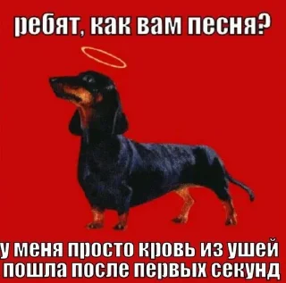 🩸 emoji ЖИВОТНЫЕ Telegram sticker 15 of 120