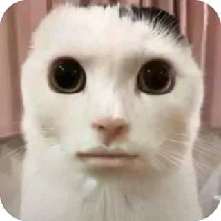 🫥 emoji Для изгоев Telegram sticker 18 of 50