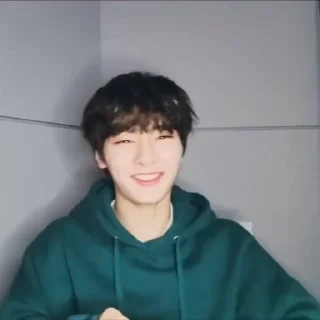 🦋 emoji ★'' JEONGIN & @LO6V3R - Telegram sticker 11 of 30