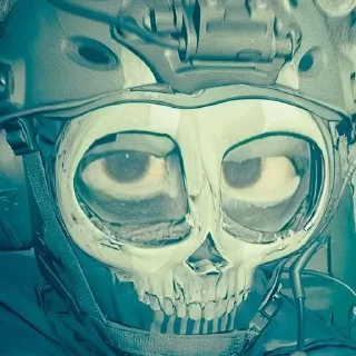 Sticker from Call of duty memes