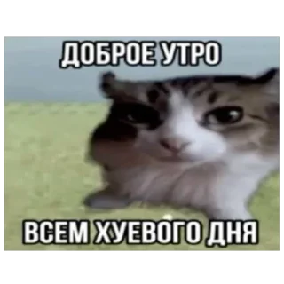 🫥 emoji Абсурдпак Telegram sticker 19 of 115