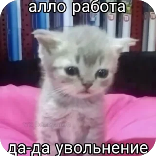 🫥 emoji Абсурдпак Telegram sticker 18 of 115