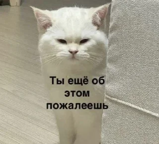 🌟 emoji Арабик Telegram sticker 6 of 13