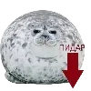 😵‍💫 emoji Пак тюленя ( @tulenzentg ) Telegram sticker 17 of 26