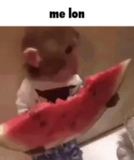 🍉 emoji Monkey Video Stickers Telegram sticker 13 of 14