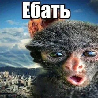 😍 emoji Больше стикеров 👉🏻 @stickertg4 Telegram sticker 18 of 47