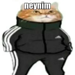 🐱 emoji @agdamistehsaliyeganesilah @DTOUserBot Paketi 1 Telegram sticker 9 of 120