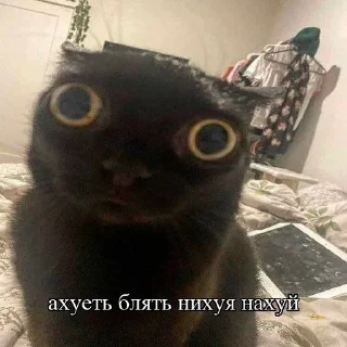 🤯 emoji на все случаи жизни Telegram sticker 17 of 53