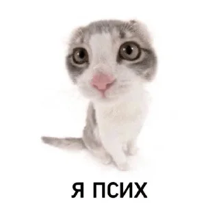🙂 emoji Жизн Telegram sticker 5 of 104