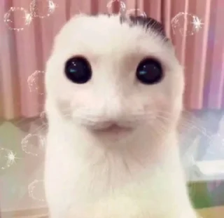 🍁 emoji крутые стикеры Telegram sticker 20 of 120