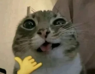 🤙 emoji крутые стикеры Telegram sticker 16 of 120
