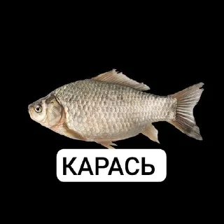 🌟 emoji xvplex насрал Telegram sticker 21 of 85