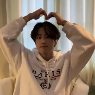 Sticker from StrayKids