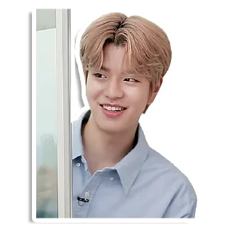 🚪 emoji StrayKids Telegram sticker 15 of 61