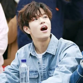 😲 emoji StrayKids Telegram sticker 23 of 119