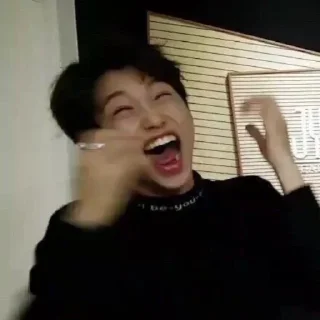 🤣 emoji StrayKids Telegram sticker 15 of 119