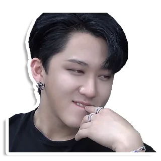 😏 emoji StrayKids Telegram sticker 13 of 61
