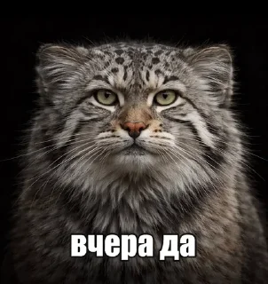 😀 emoji бебе Telegram sticker 21 of 55
