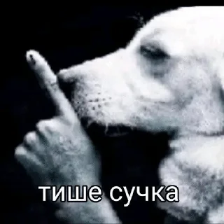 😝 emoji бебе Telegram sticker 11 of 55