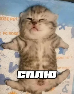 😴 emoji шось by @shpthfu Telegram sticker 19 of 44