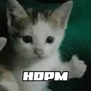 👍 emoji шось by @shpthfu Telegram sticker 14 of 44