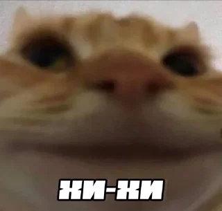 😁 emoji шось by @shpthfu Telegram sticker 11 of 44