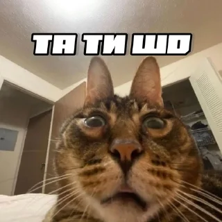 😨 emoji шось by @shpthfu Telegram sticker 6 of 44