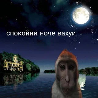 🌙 emoji аьаээь Telegram sticker 15 of 91