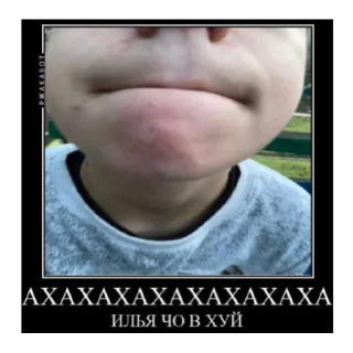 Sticker from махно зайчик