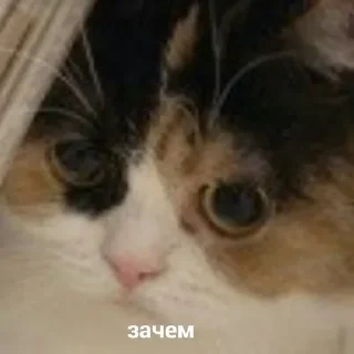 ❓ emoji sexy krau5 2.0 Telegram sticker 3 of 86