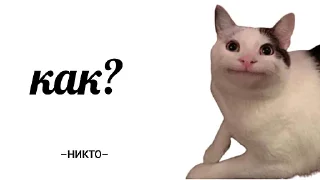 🤨 emoji НИКТО Telegram sticker 14 of 61