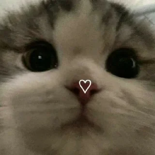 💓 emoji ♡♡♡ Telegram sticker 12 of 28