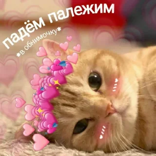 💖 emoji ♡♡♡ Telegram sticker 21 of 28