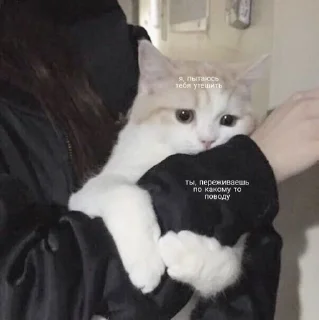 ☺️ emoji алло?да Telegram sticker 13 of 92