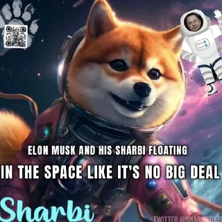 🌟 emoji Sharbi Memes Telegram sticker 14 of 34