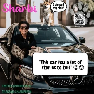 🌟 emoji Sharbi Memes Telegram sticker 16 of 34