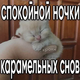 🌟 emoji Kotikeee Telegram sticker 22 of 60