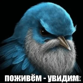 🌟 emoji Мемы 228 Telegram sticker 6 of 53